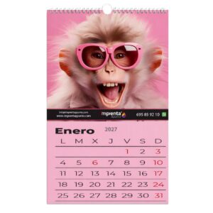 Calendarios de pared con espiral personalizados
